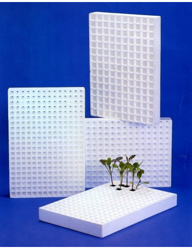 Semilleros de Poliestireno