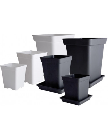 Macetas cuadradas inyectadas