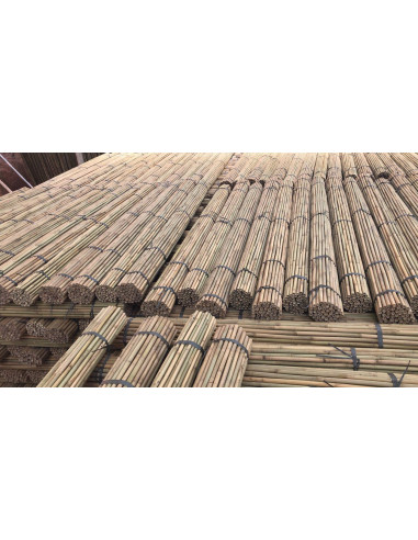 TUTOR BAMBU NATURAL CAS